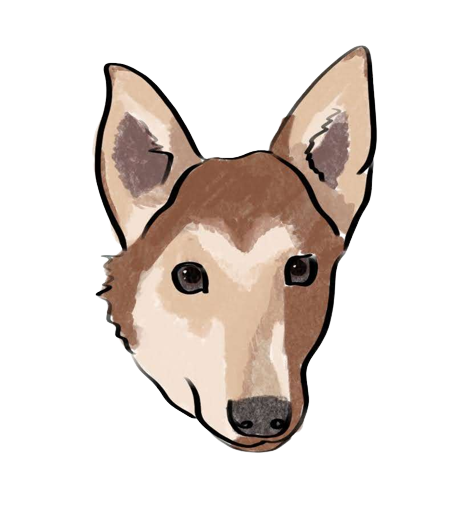 Misu Icon
